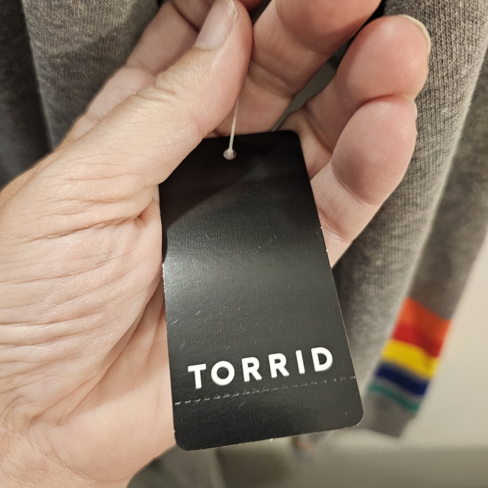Torrid Gray Long Sleeve Dress with Colorful Stripes - Picture 4 of 7